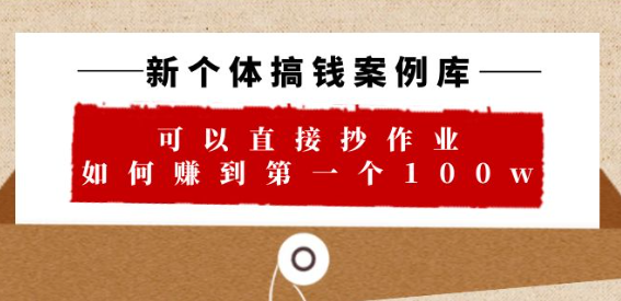 新个体 搞钱案例 库，可以直接抄作业 如何赚到第一个100w（29节视频+文档）