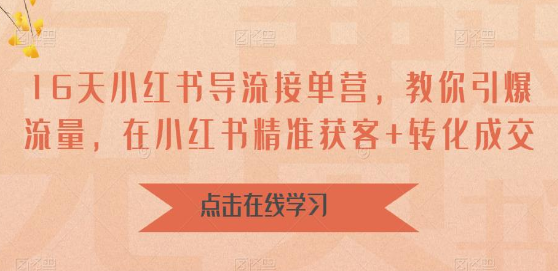 16天-小红书 导流接单营，教你引爆流量，在小红书精准获客+转化成交